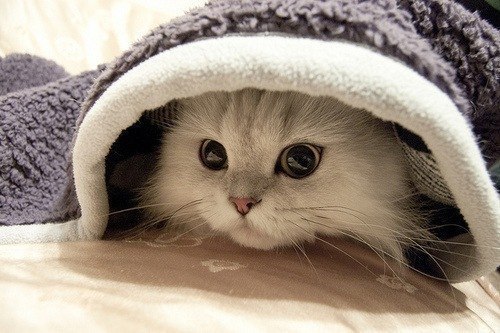 Марина Кацалап | Чернигов