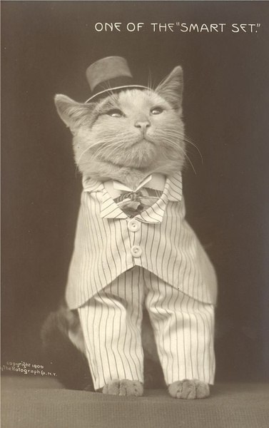 Константин Кот | 