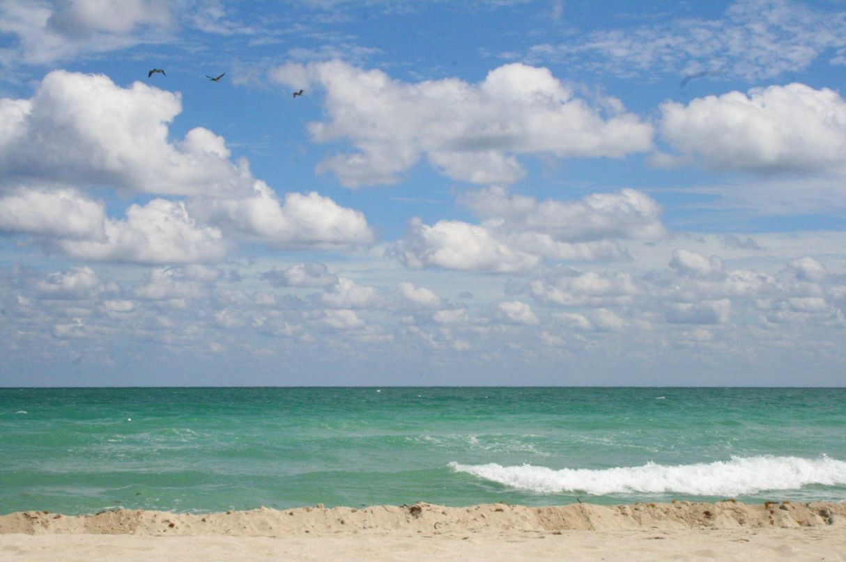 Галина Фомичёва | Санкт-Петербург