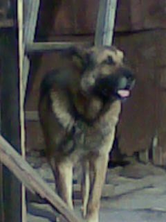 №86, Илья Каин, 28.10 №86, Илья Каин, 28.10