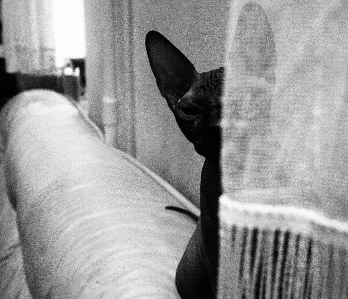 Варвара Разакова | Москва