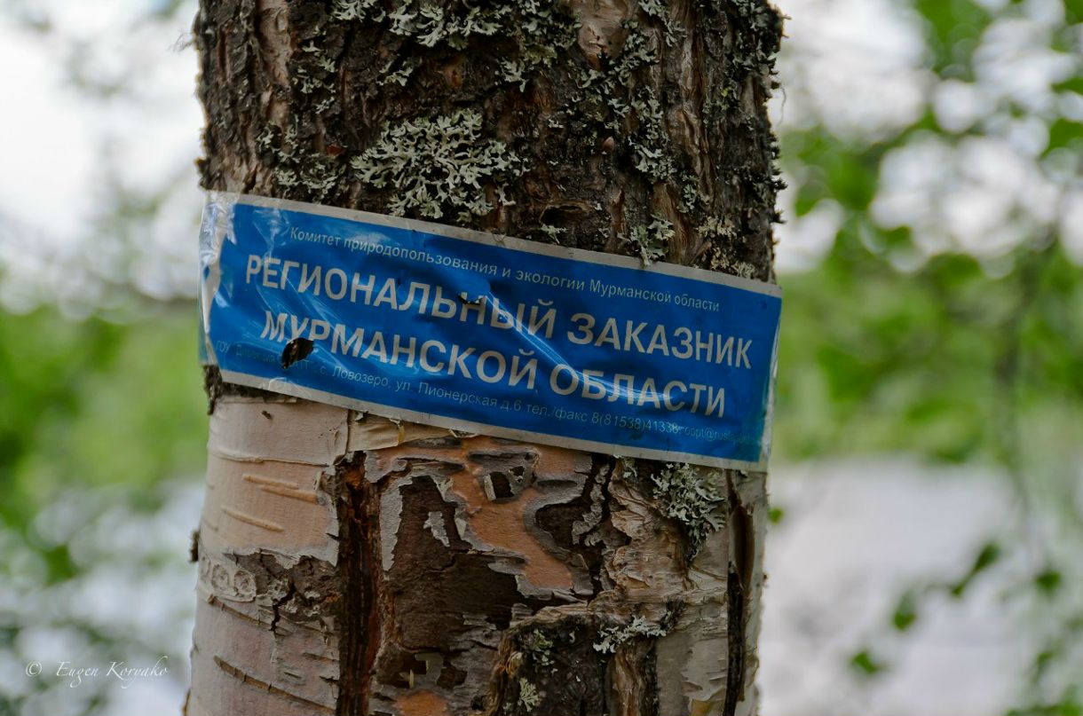 Евгений Коряко | Москва