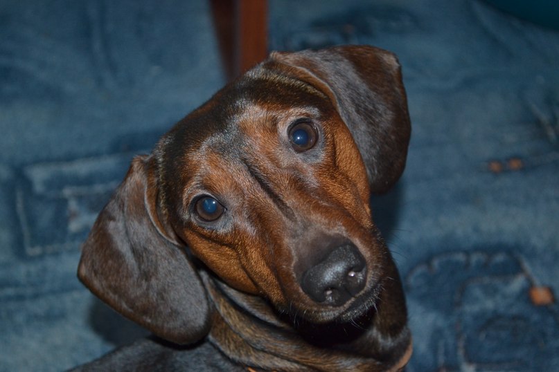 Светлана Муругова | 