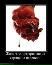 Фотография Денис Чупиков