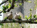 Фотография Murad Aliyev