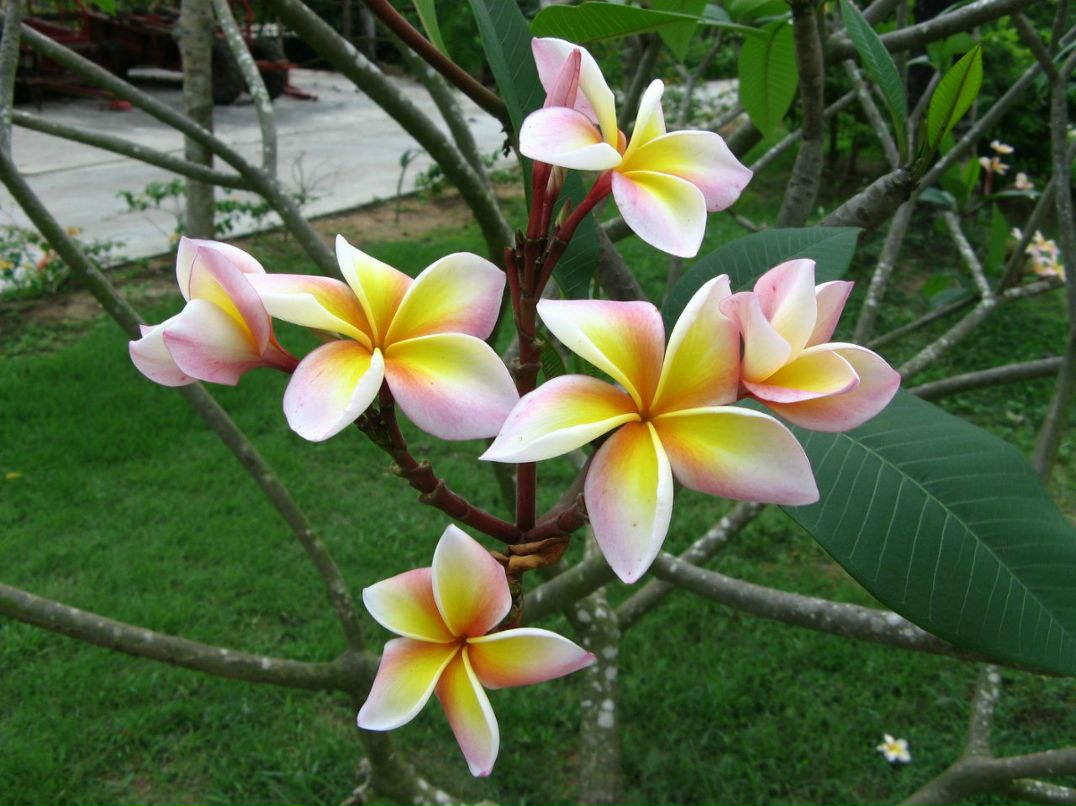 Катерина Горланова | Екатеринбург