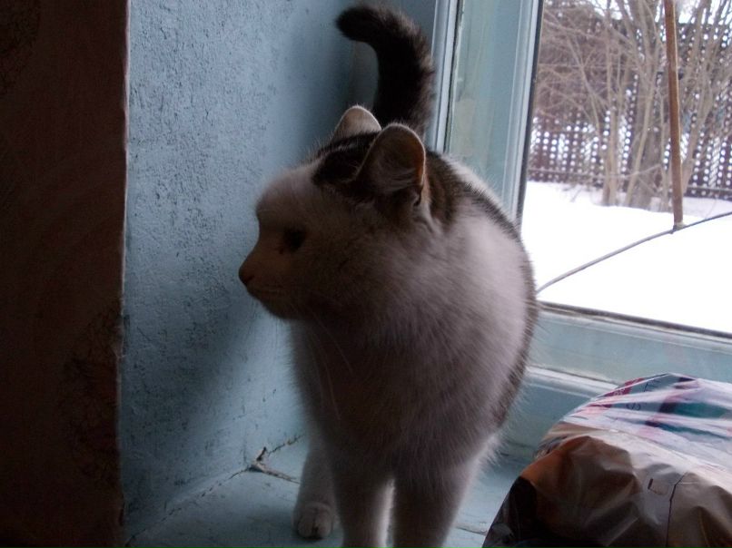 Вaлли Рагель | Петрозаводск