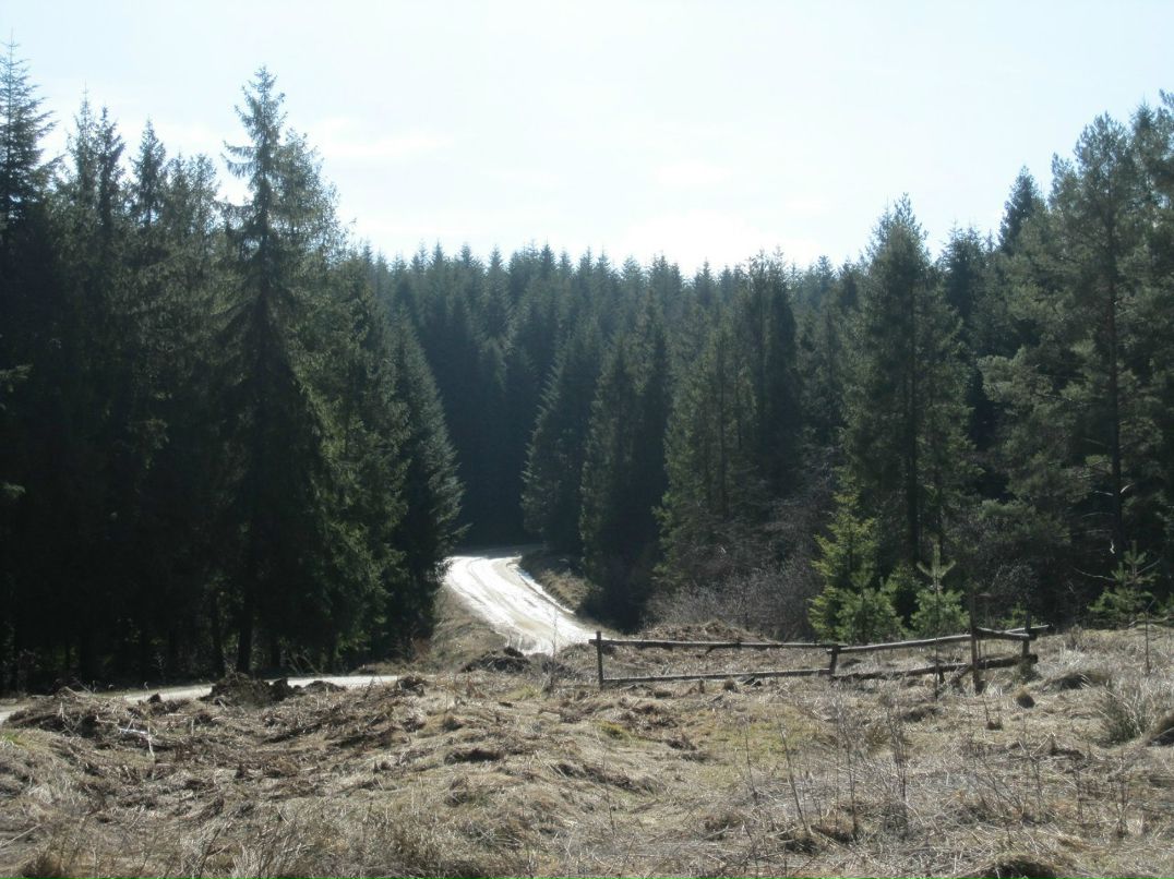 Саша Куницын ........... | Киев