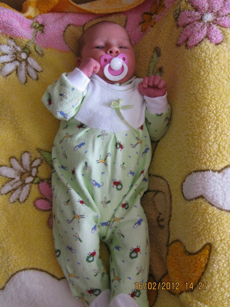 Наталья Ершова | Боровичи