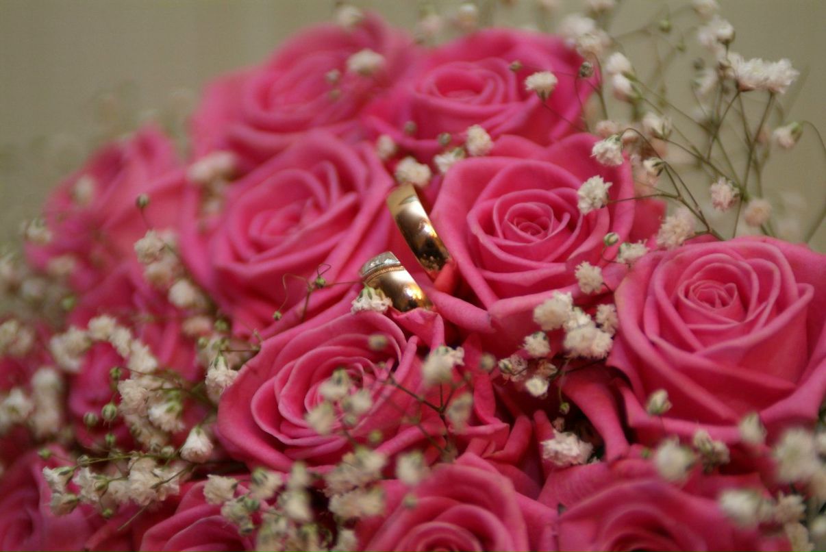 Ирина Пикула | Атемар