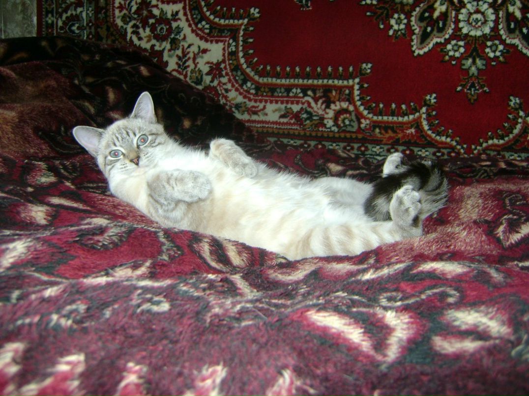 Светлана Григорьева | Санкт-Петербург