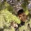 Аватар: Санжар Холмирзаев