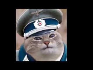 Айн цвай полицай.  ein zwei Polizei