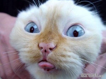 Сергей Хурматулин | Екатеринбург