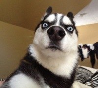 Мария Иванова | Санкт-Петербург