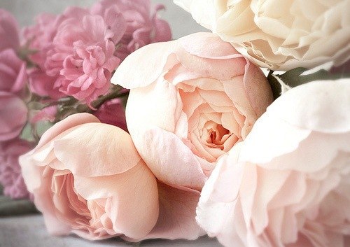 Анастасия Пустовит | Киев