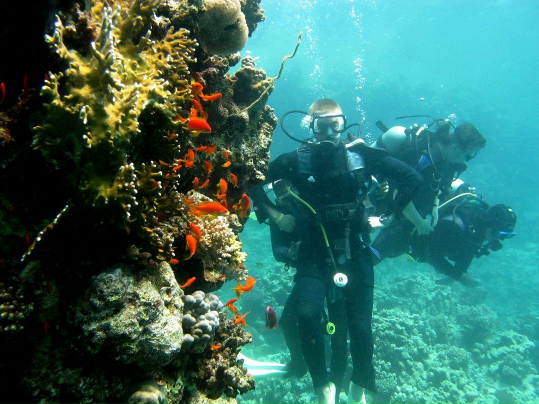 Максим Еременко | Харьков