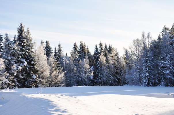Татьяна Кудинова | Мурманск