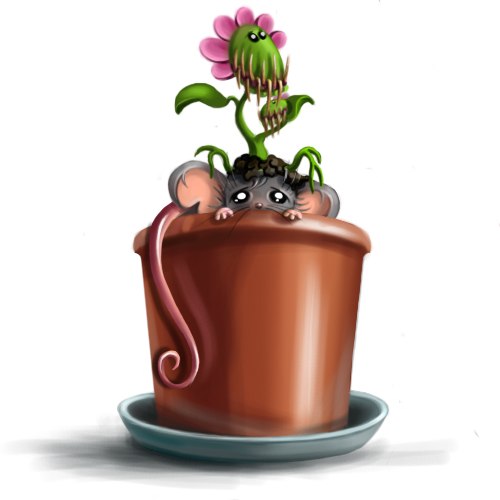 Мария Приволько | Санкт-Петербург