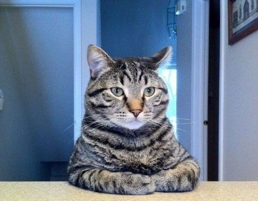 Денис Леман | Салехард