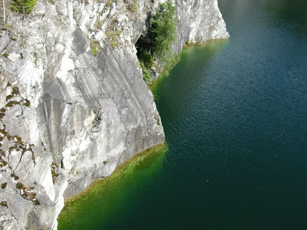 Максим Коронов | Санкт-Петербург