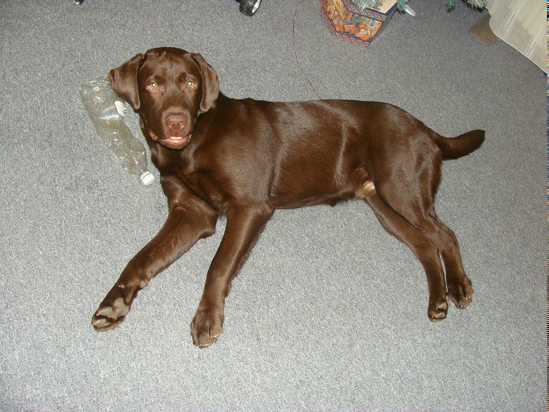 Катерина Шамбур | Москва