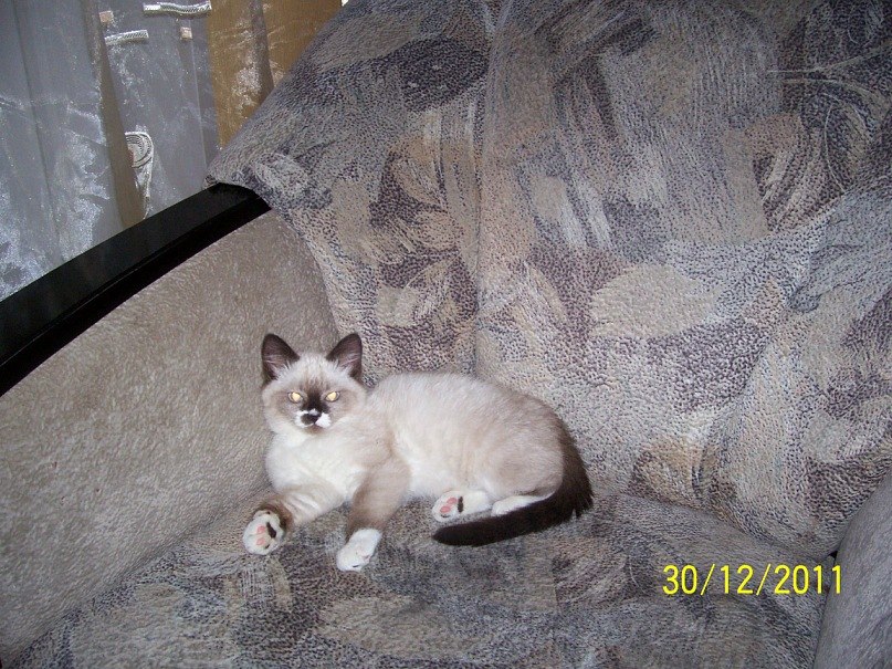 Галина Илларионова | Нижний Новгород