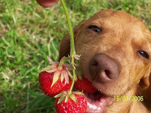 Наталья Попель | Киев