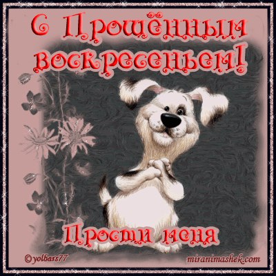 Дарья Бандурина | Новосибирск