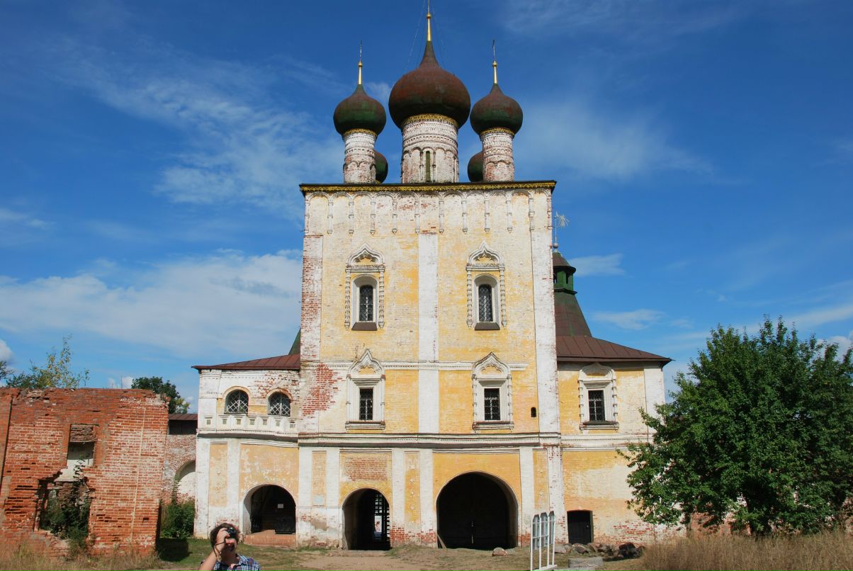 Артем Медведев | Wellington