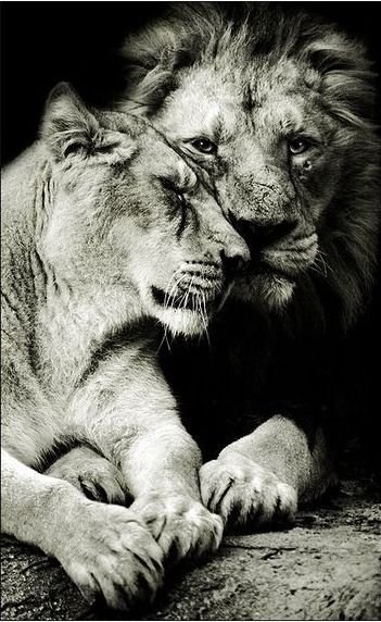 Сашуля Сашулия ٩(-̮̮̃-̃)۶ | Санкт-Петербург