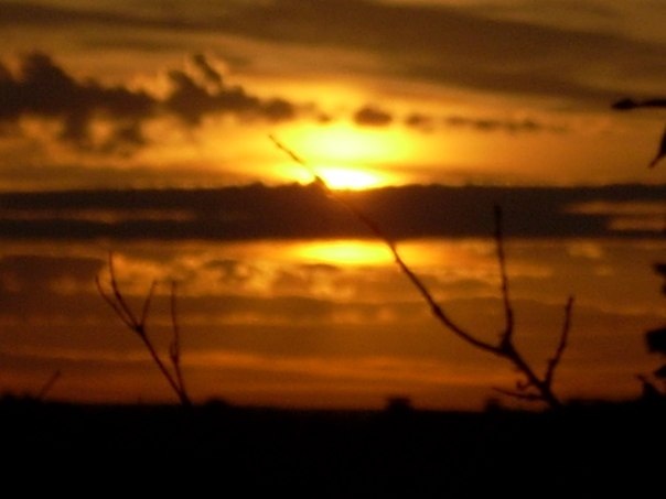 №16, Никита Лысков №16, Никита Лысков