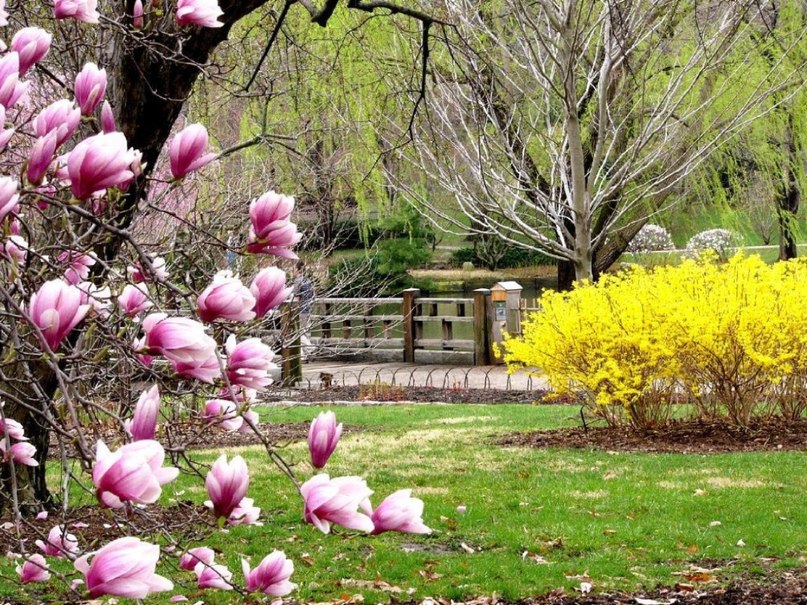 Мария Родионова | Тольятти