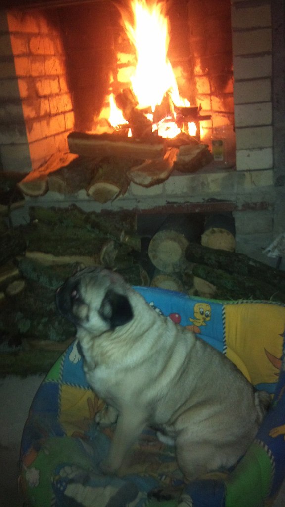 Наталия Лазарева | Киев