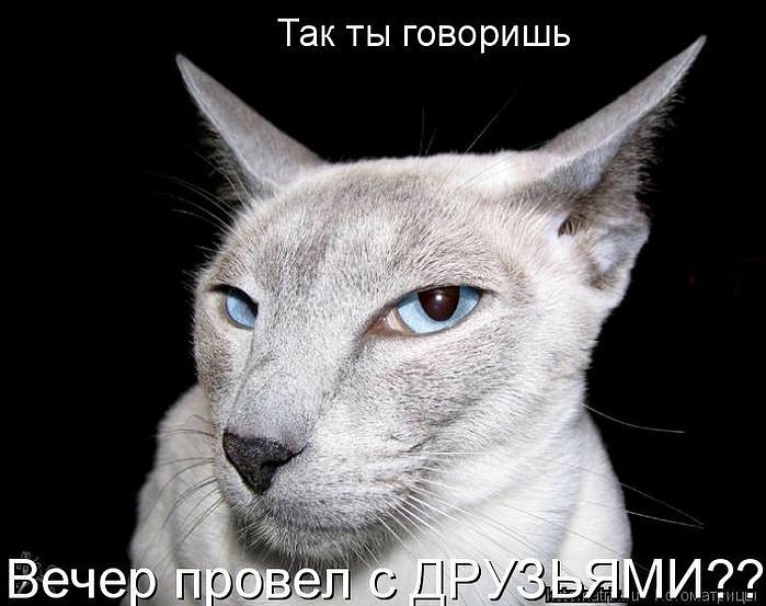 Мария Моисейчева | Киев