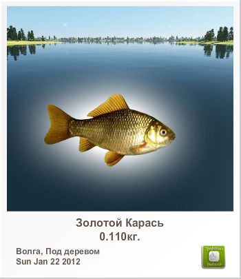 Витаха Карпов | Санкт-Петербург