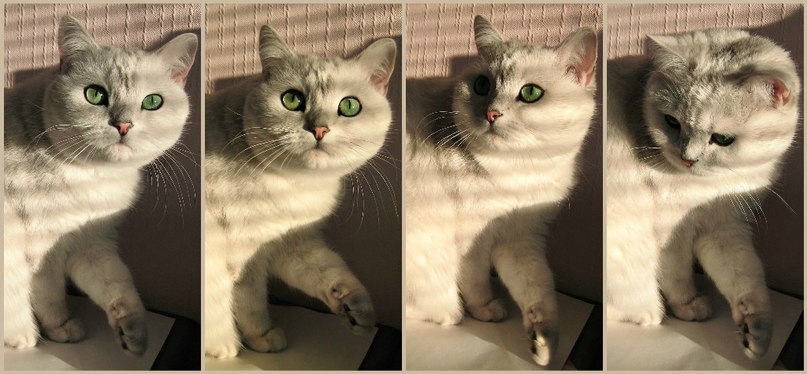 Гуля Федосеева | Уфа