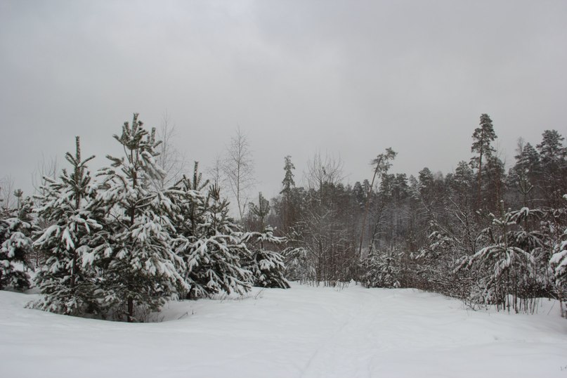 Вадим Соколов | Москва