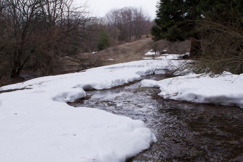 Евгений Шатохин | Черкассы
