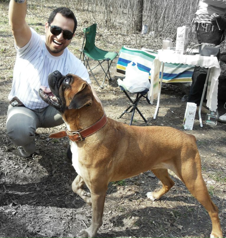 Али Резашеш | 