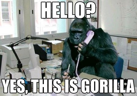 Николай Зудин | Санкт-Петербург