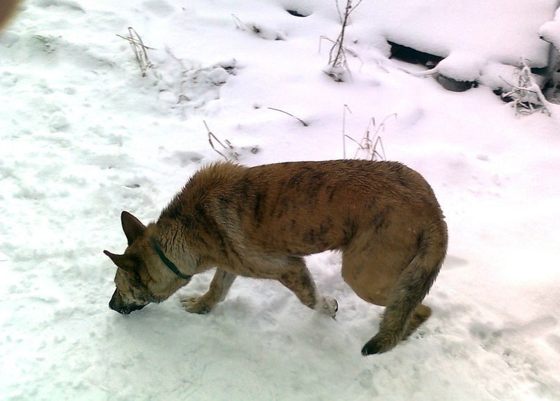 Владимир Кожевников | Санкт-Петербург