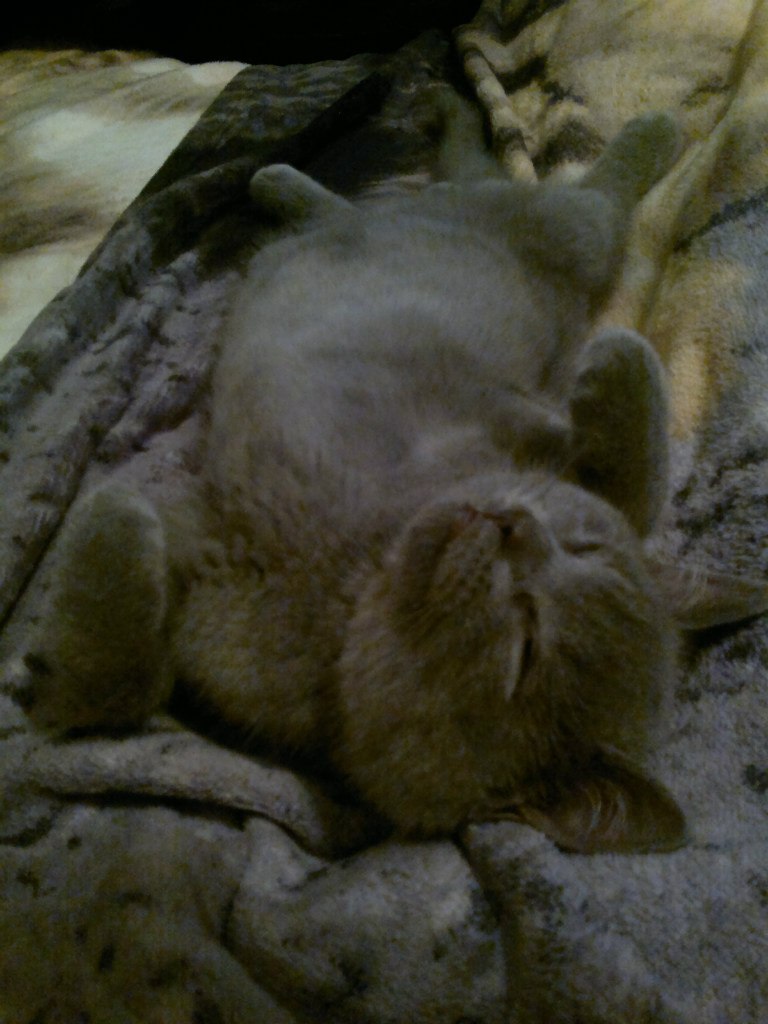 Диана Исламгулова | Уфа