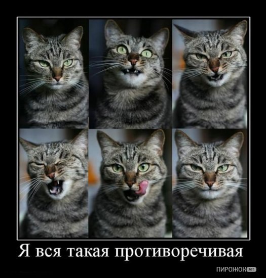 Светлана Клочкова | Марганец