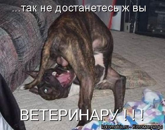 Олег Волк ********VOLK******** | Красногвардейское