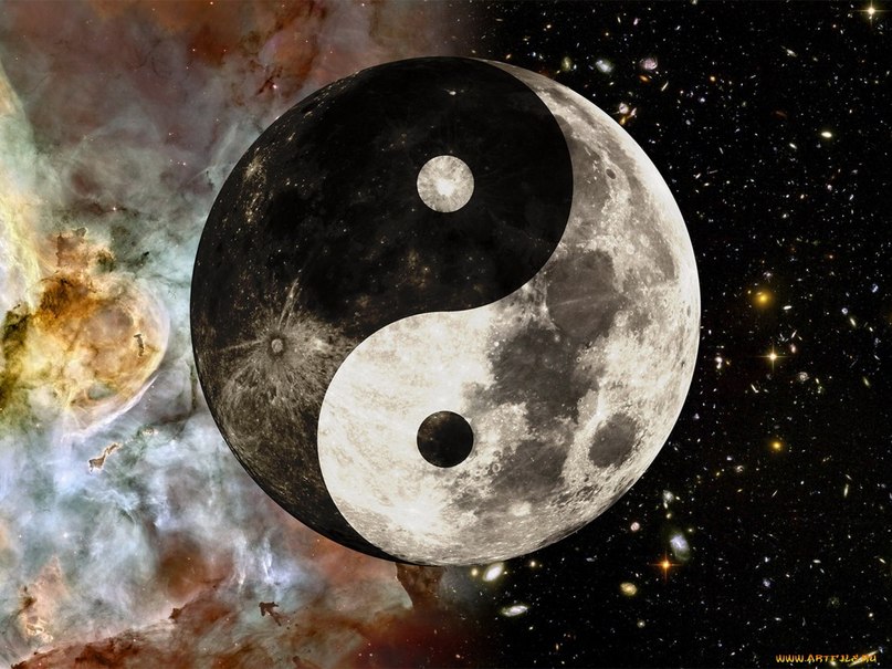 Александр Кострыкин | Белгород