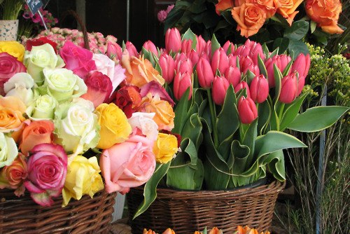 Анастасия Карпенкова | Москва