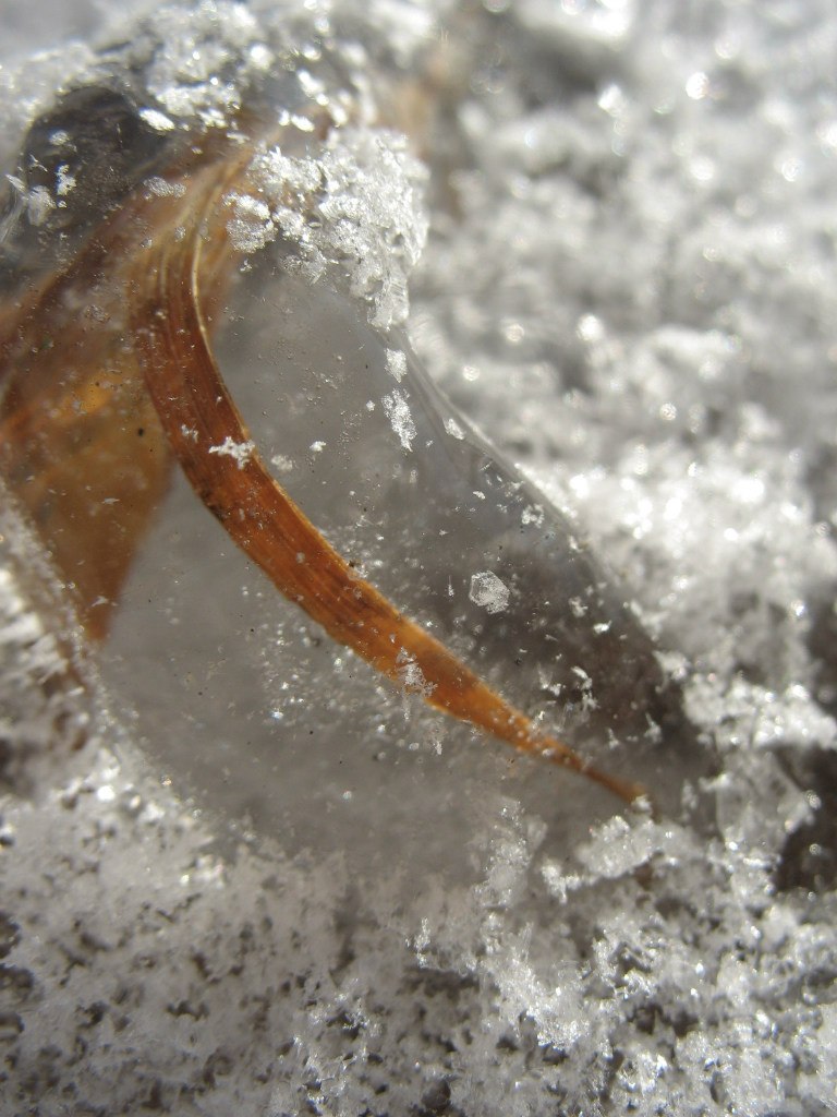 Ирина Петрова | Новосибирск