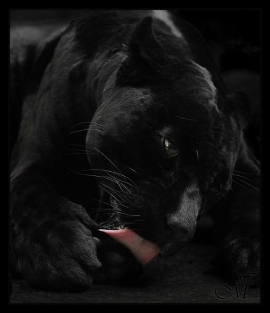 Оксана Скурат | Новосибирск