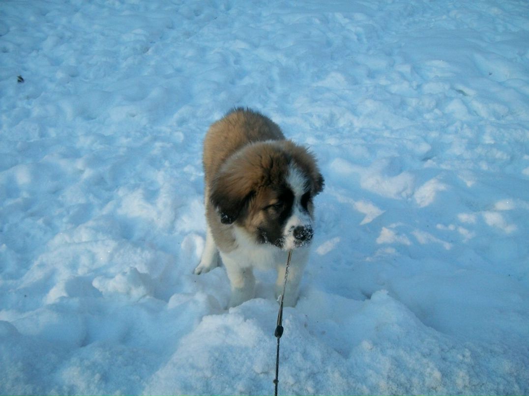Михаил Нихезин | Санкт-Петербург